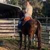 keyleestever858
